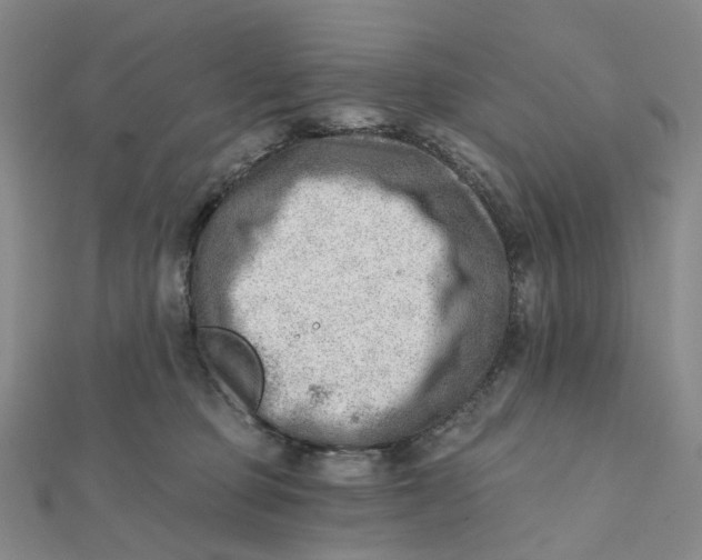 X0000112080373200908251110