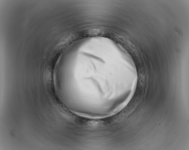X0000112080375200908251110