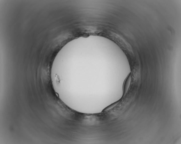 X0000112080376200908251110