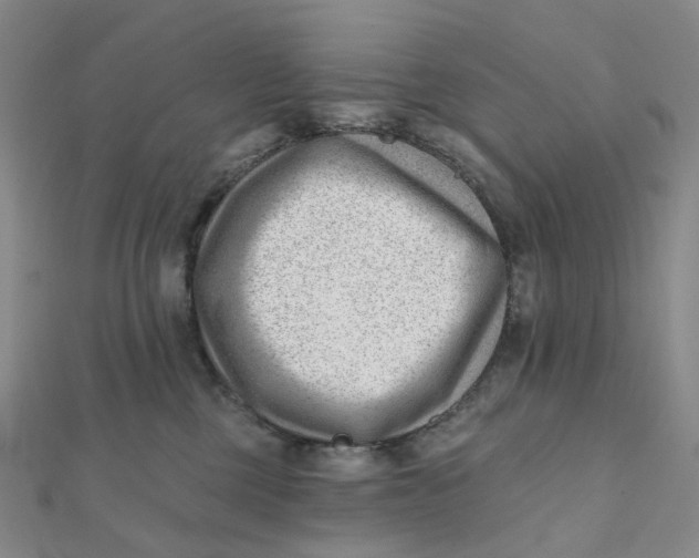X0000112080377200908251110