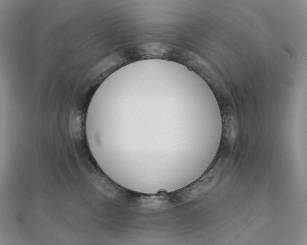 X0000112080378200908251110