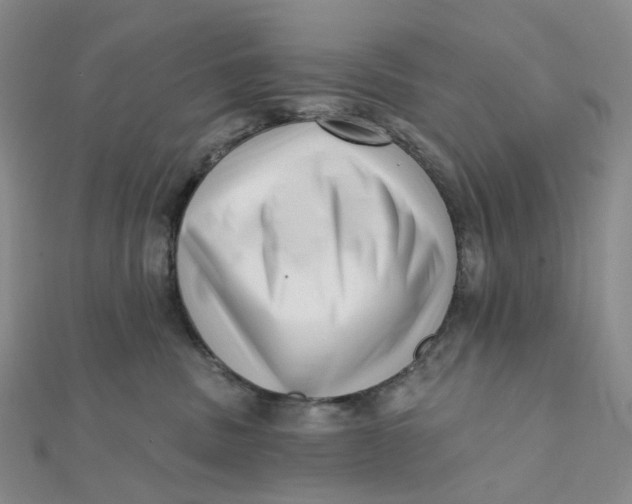 X0000112080379200908251110