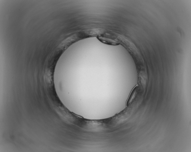 X0000112080380200908251110