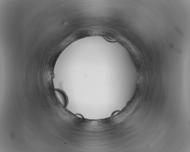 X0000112080382200908251110