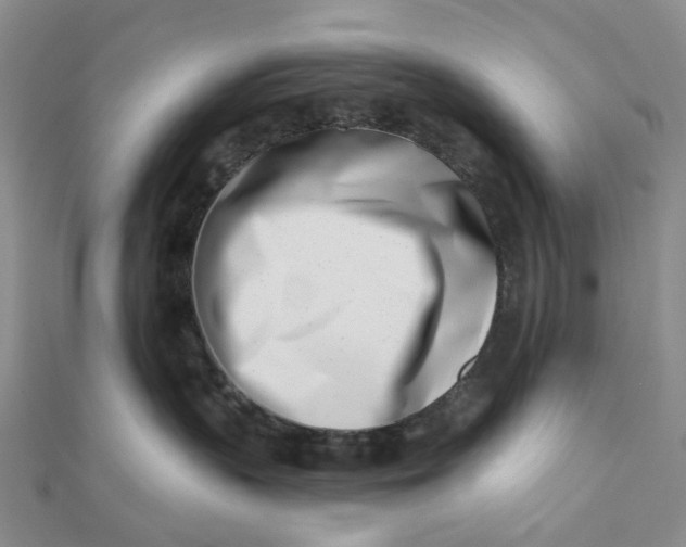X0000112080383200908251110