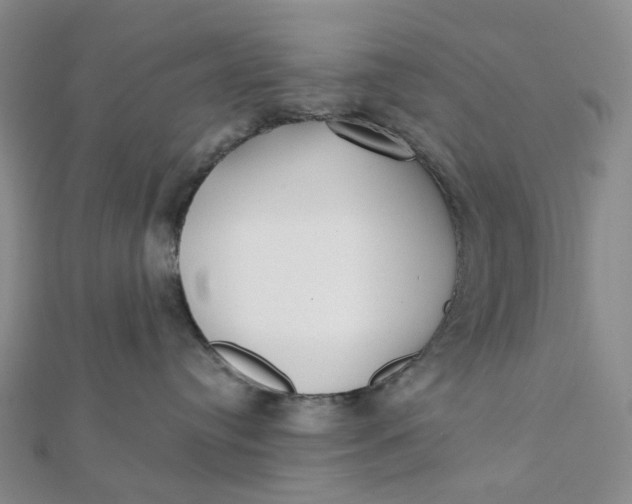 X0000112080384200908251110