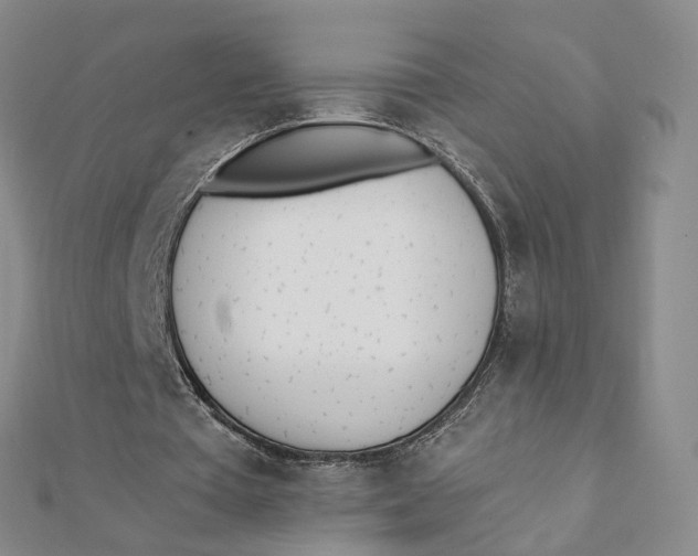 X0000112080385200908251110