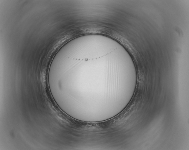 X0000112080386200908251110