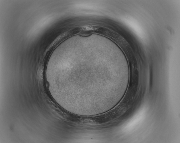 X0000112080387200908251110