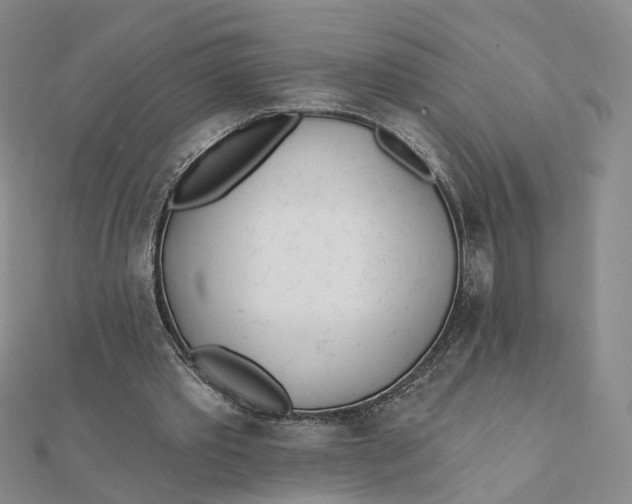 X0000112080389200908251110