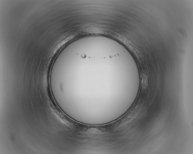X0000112080390200908251110
