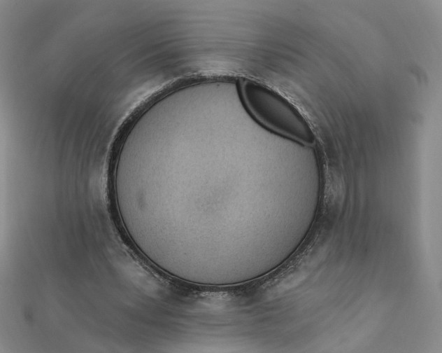 X0000112080391200908251109