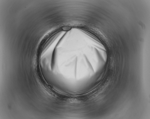 X0000112080392200908251109