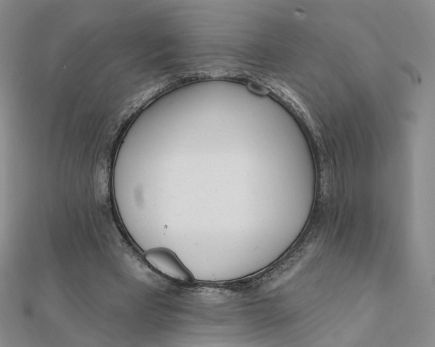 X0000112080393200908251109