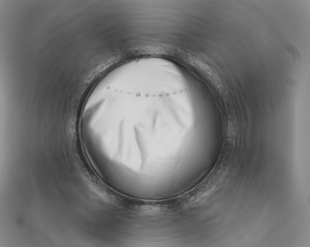 X0000112080394200908251109