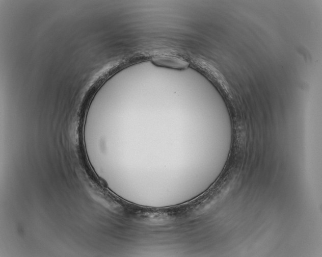 X0000112080395200908251109