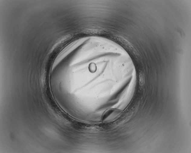 X0000112080396200908251109