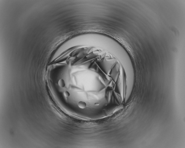 X0000112080397200908251109