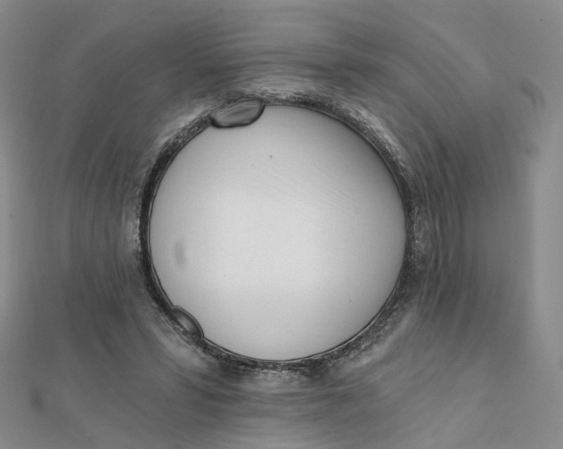 X0000112080399200908251109