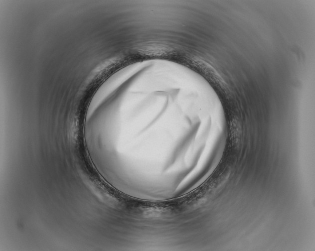 X0000112080400200908251109