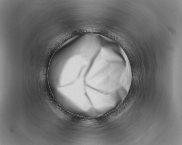 X0000112080402200908251109