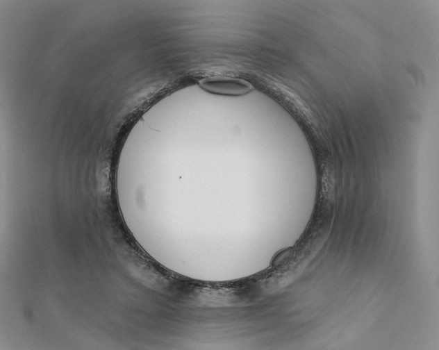 X0000112080403200908251109