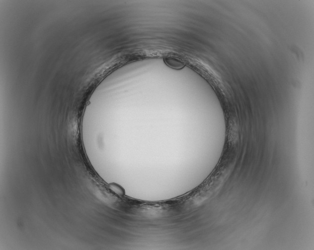 X0000112080405200908251109