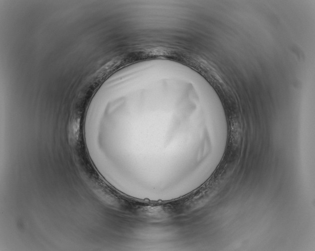 X0000112080406200908251109