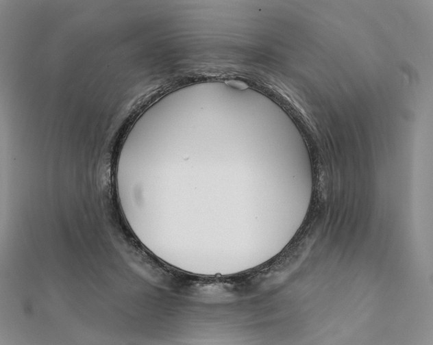 X0000112080407200908251109