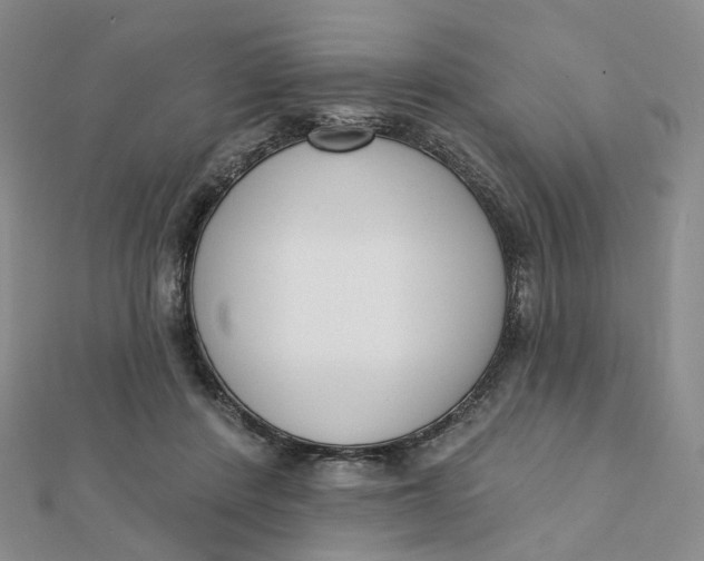 X0000112080408200908251109