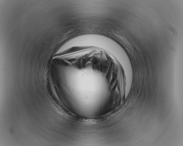 X0000112080409200908251109