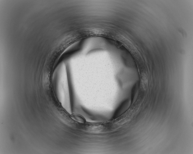 X0000112080410200908251109
