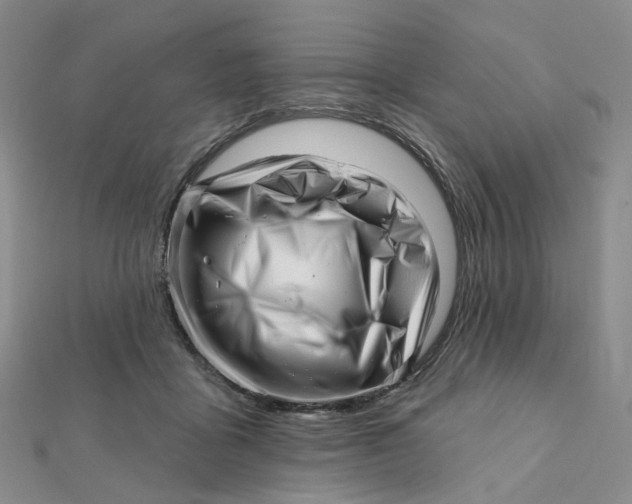 X0000112080411200908251109
