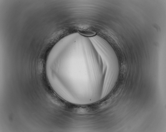 X0000112080412200908251109