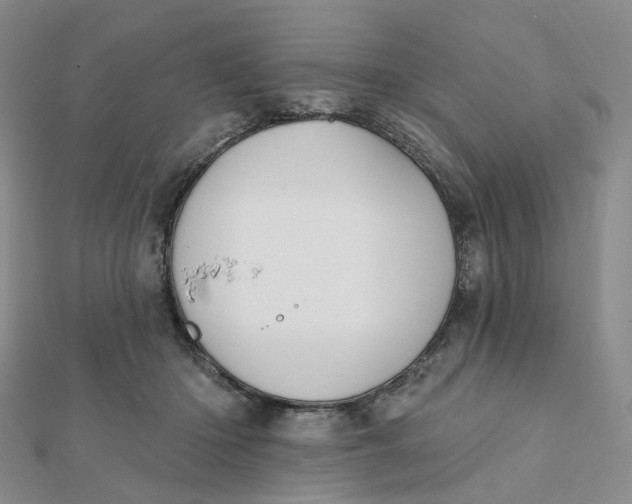 X0000112080414200908251109