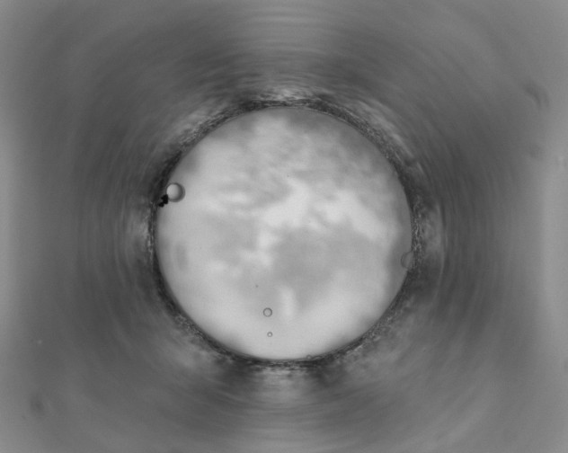 X0000112080415200908251109