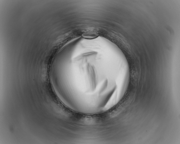 X0000112080416200908251109