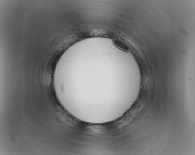 X0000112080417200908251109
