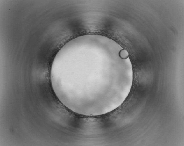 X0000112080419200908251109