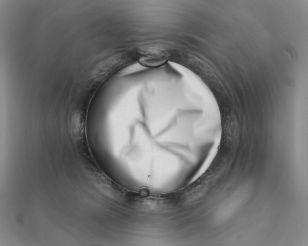 X0000112080420200908251109