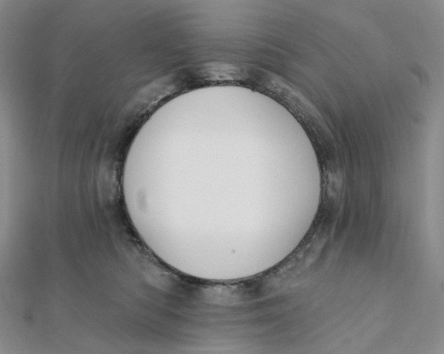 X0000112080422200908251109