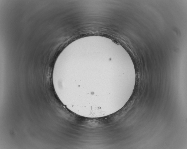 X0000112080423200908251109
