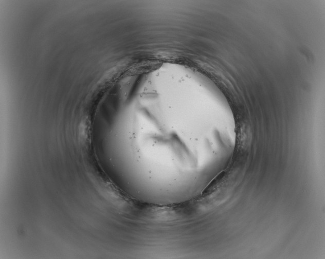 X0000112080424200908251109