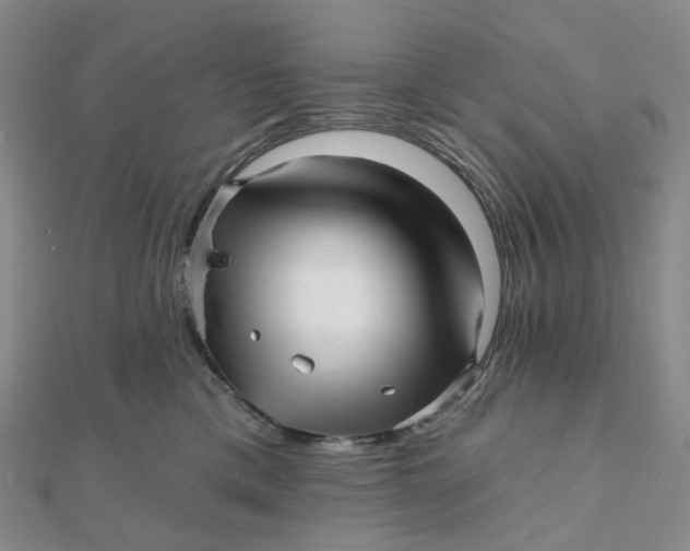 X0000112080425200908251109