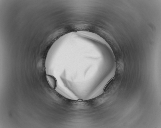 X0000112080428200908251109