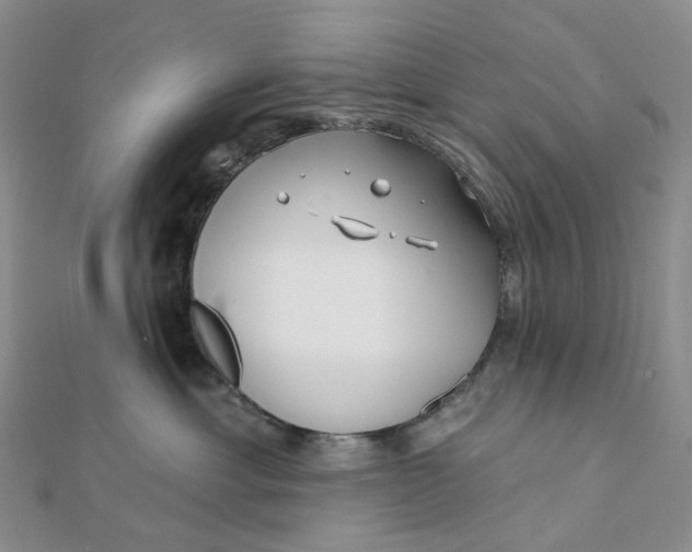 X0000112080429200908251109