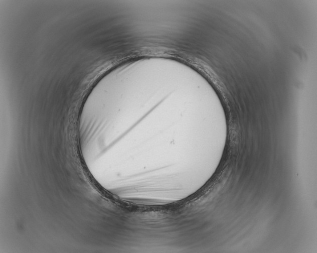 X0000112080433200908251108