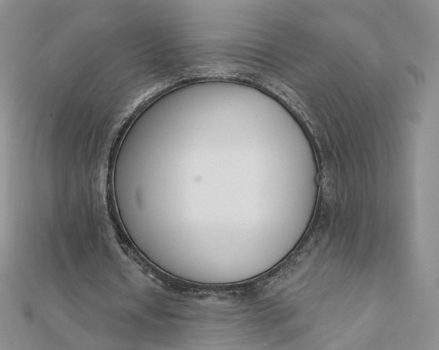 X0000112080434200908251108