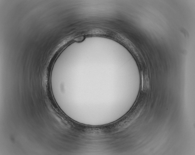 X0000112080435200908251108