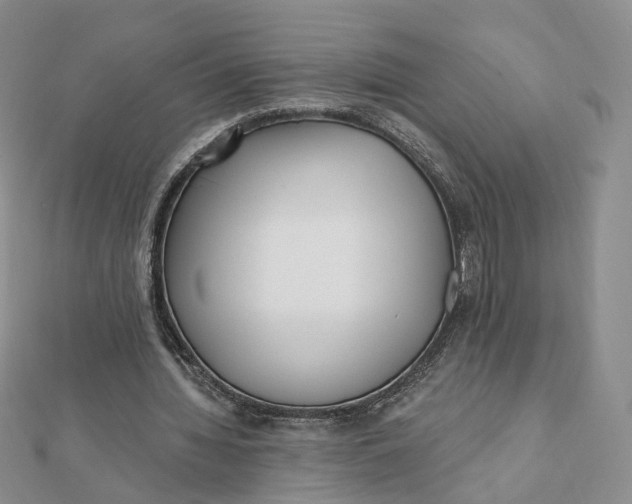 X0000112080436200908251108